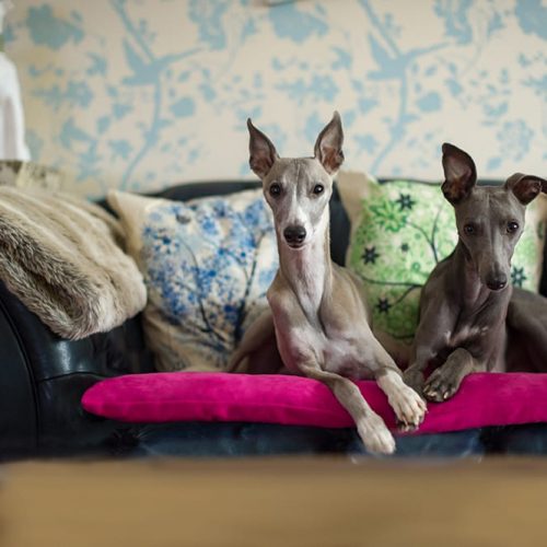 Classic Wool Sofa Toppers