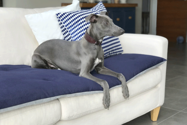 Lustre Velvet Sofa Toppers