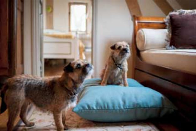 Cotton Pillow Beds