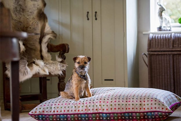 Wool Pillow Beds
