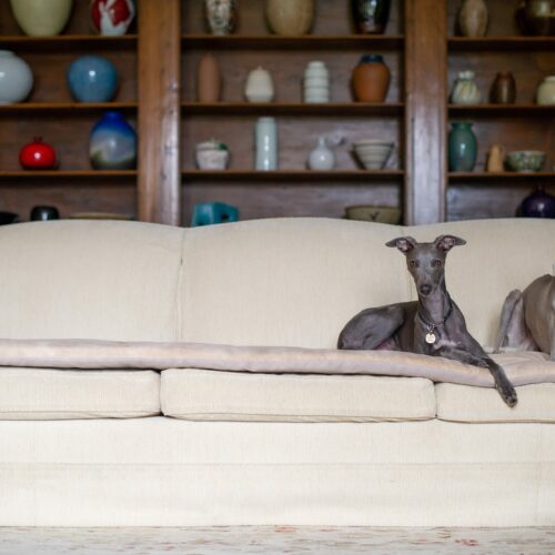 Sofa Topper in Almond Luxe Velvet 4-Seater